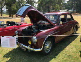 R.A. MG Magnette